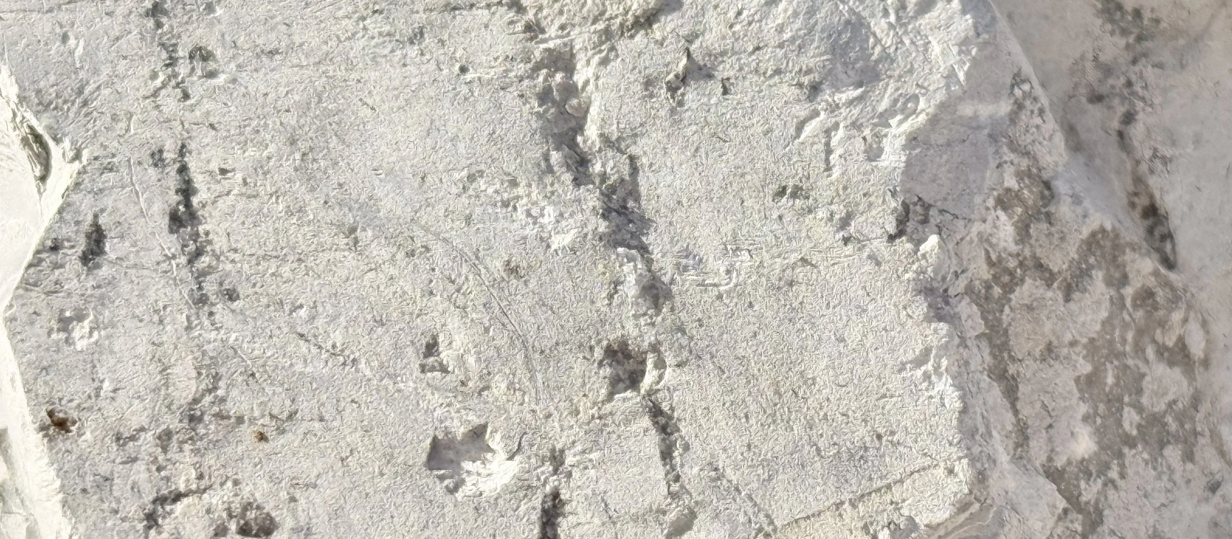 Close-up of a rough, light-colored stone surface with dark vein-like lines and small embedded fragments.