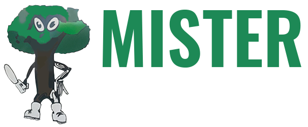Mister Tree