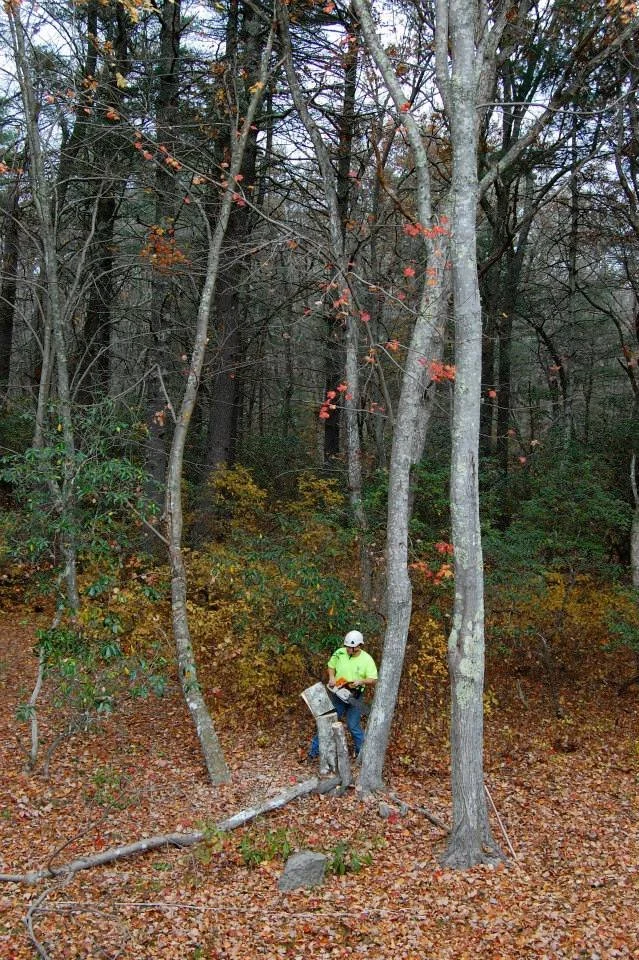 gallery36.jpg