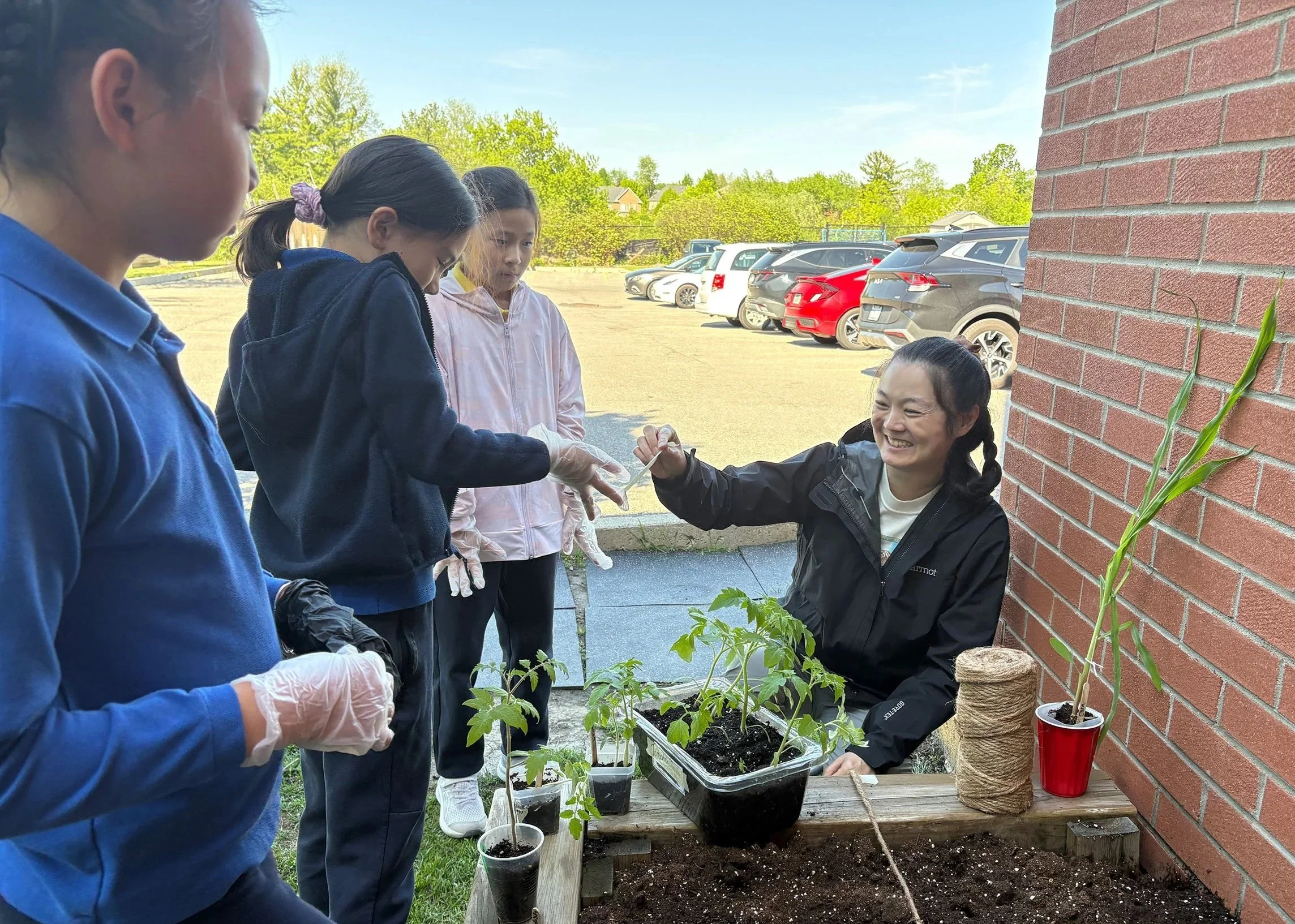 A group of four young girls and one adult woman are planting seedlings in a garden bed outside a brick building on a sunny day. The women and girls are wearing gloves and appear to be involved in a gardening activity, with some of the girls looking at the plants.