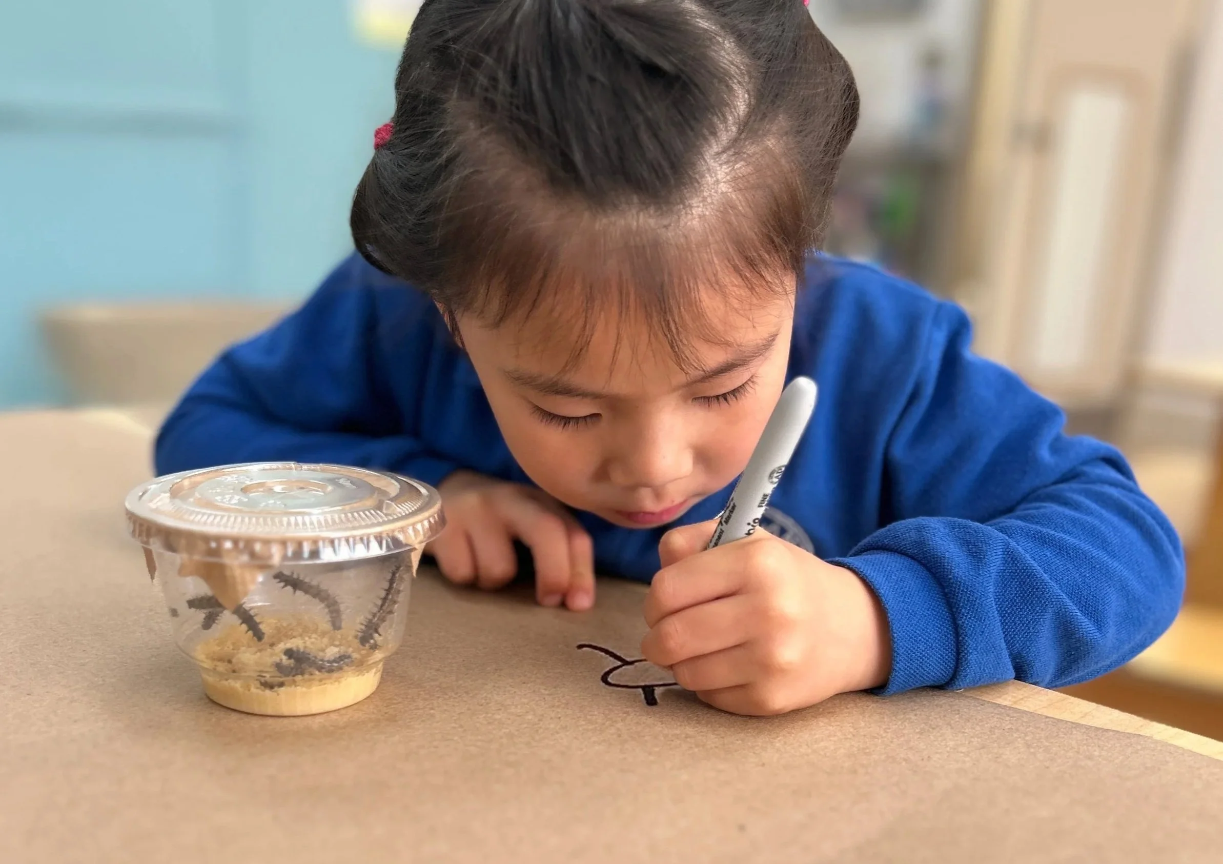A young boy with short dark hair, wearing a blue sweatshirt, is sitting at a table focused on writing or drawing with a white marker. In front of him is a clear plastic container with a black design, partially filled with a beige substance, possibly sand or dirt.