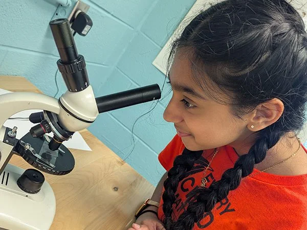A young girl with braided hair looking through a microscope in a science lab.