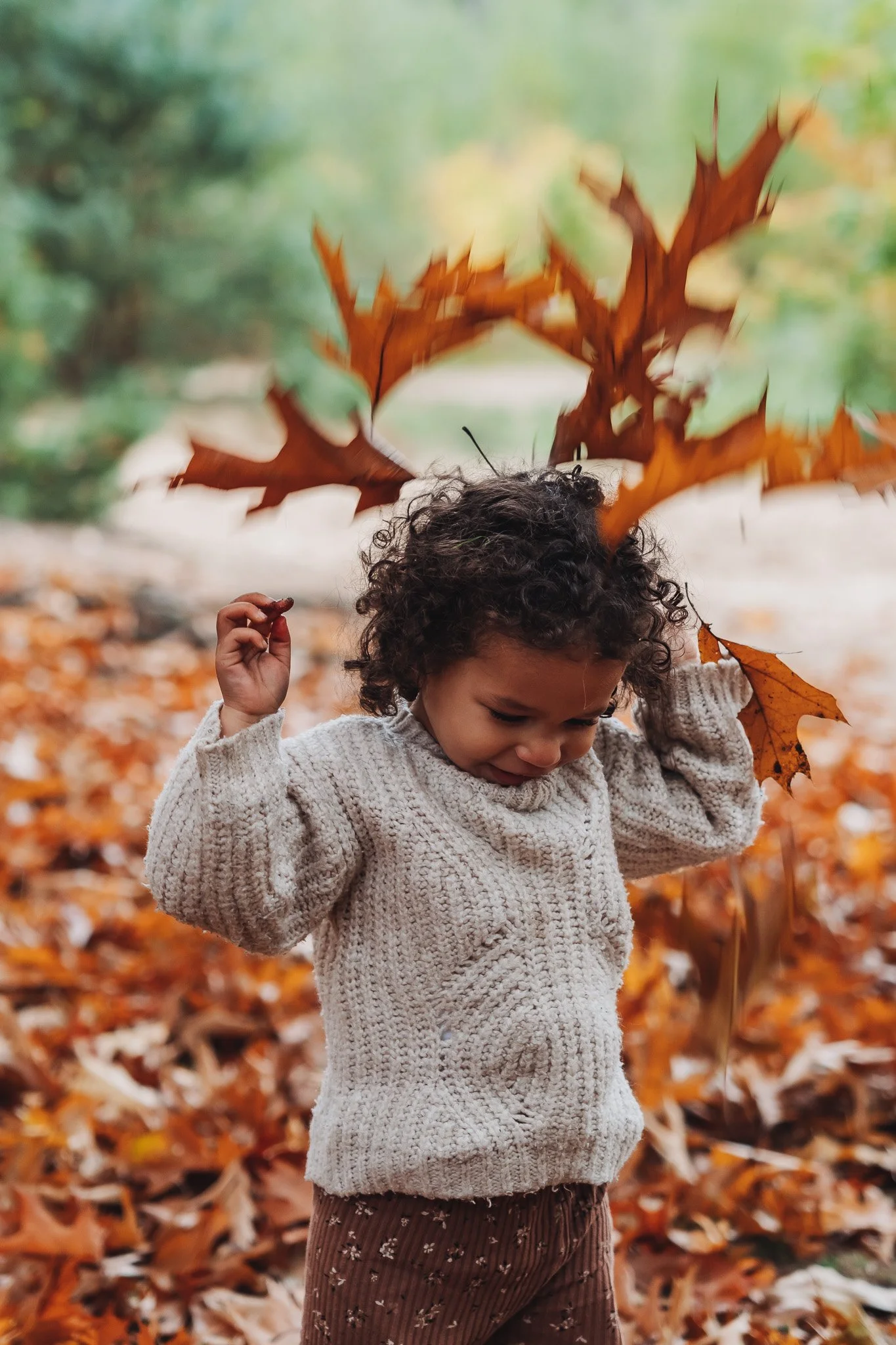 Een kind met krullend haar die in een bos gevuld met herfstbladeren speelt, waarin hij of zij grote herfstbladeren omhoog houdt.