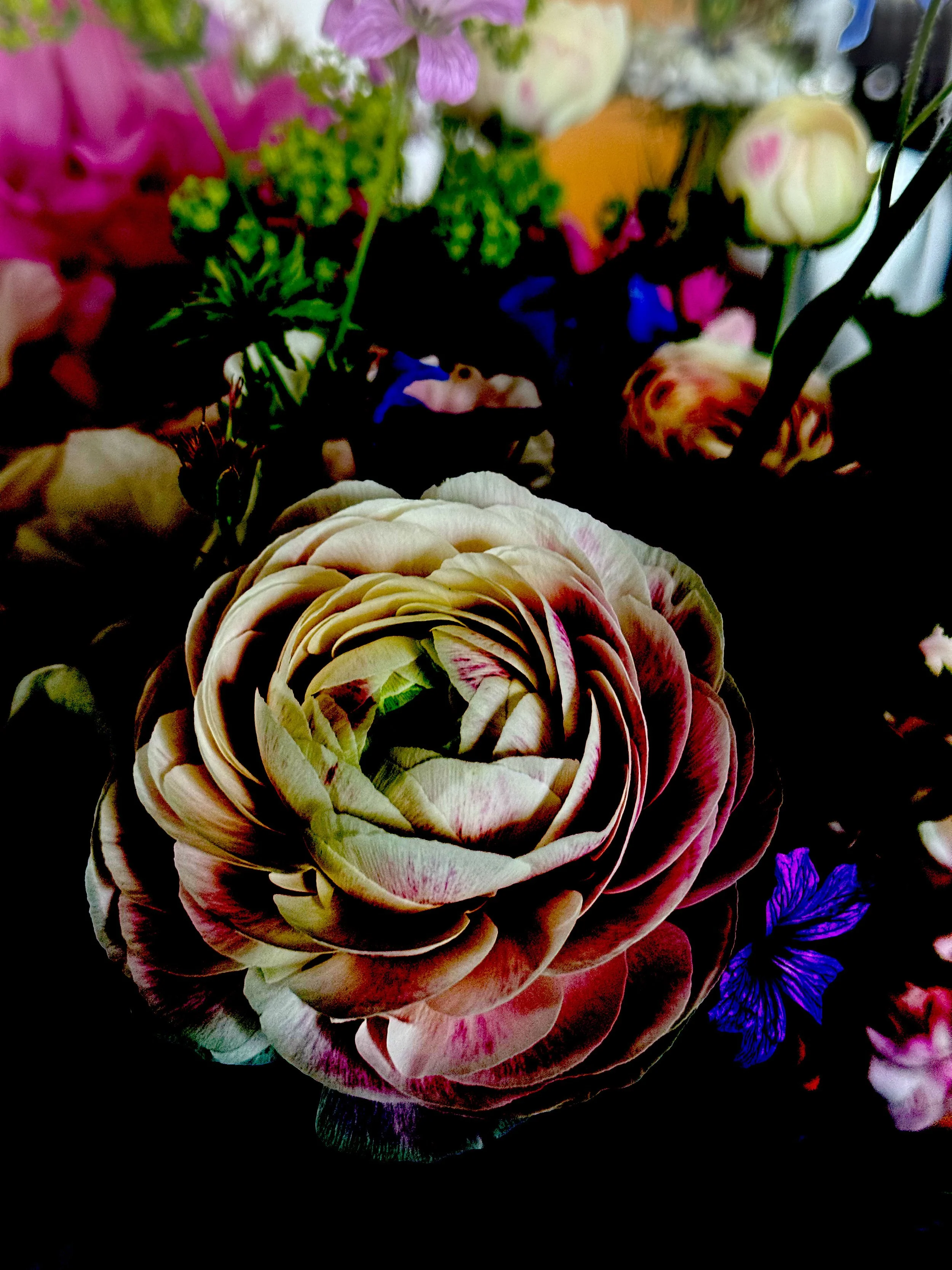 Blooming Elegance