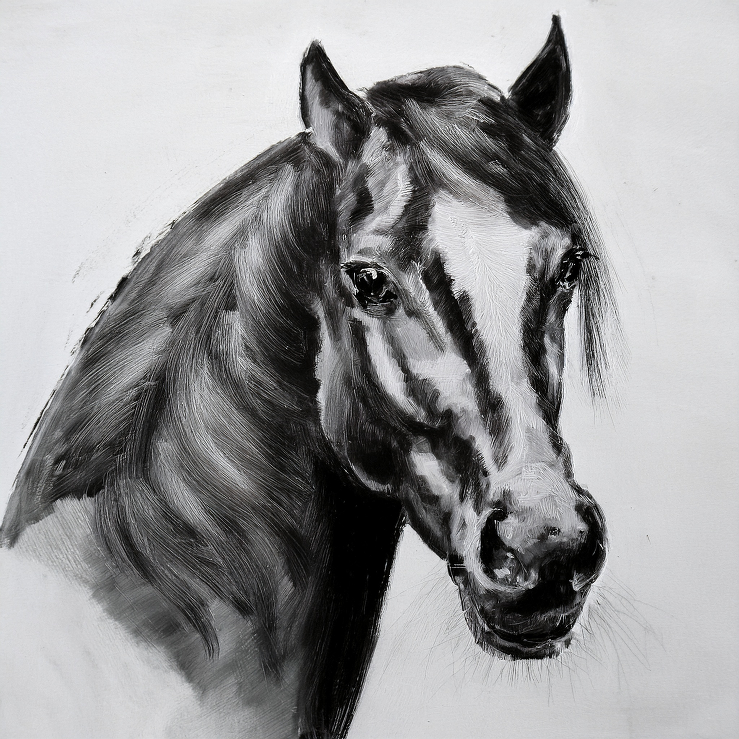 Horse Portrait BW Print