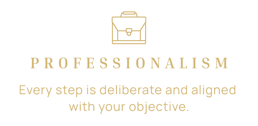 Image with a briefcase icon, the word 'PROFESSIONALISM' in large font, and the phrase 'Every step is deliberate and aligned with your objective.'