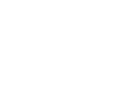 Number 04 with the text 'Trial Representation (Where Required)' underneath.