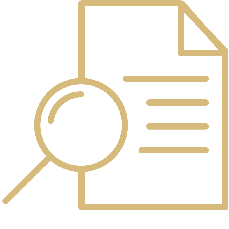 Icon of a document with lines and a magnifying glass examining the document.