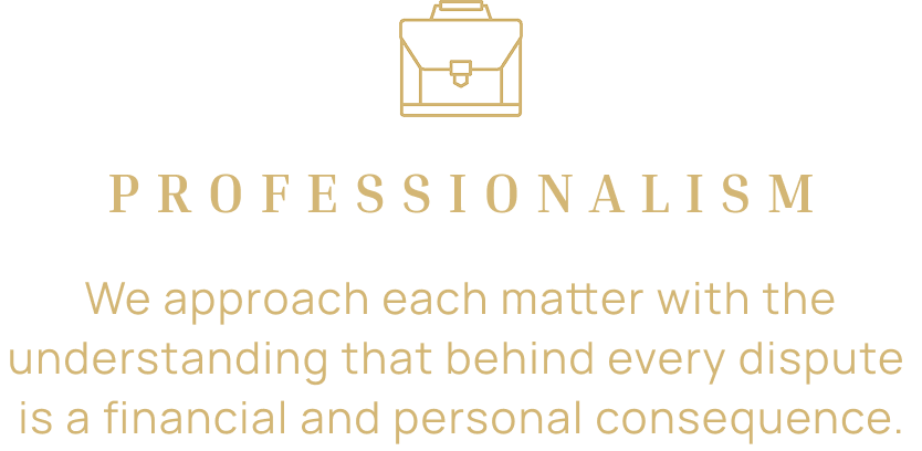 Image with a briefcase icon, title 'PROFESSIONALISM', and the statement 'We approach each matter with the understanding that behind every dispute is a financial and personal consequence.'