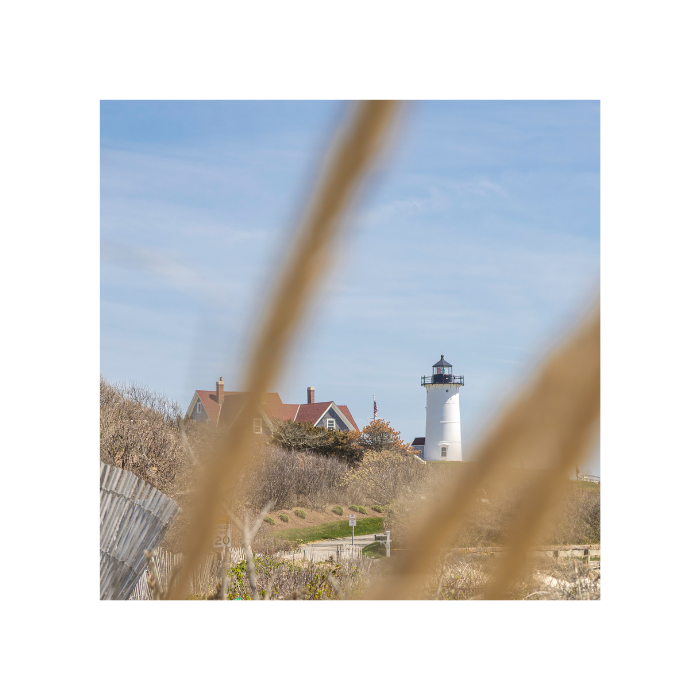 Scituate Lighthouse In the Grass