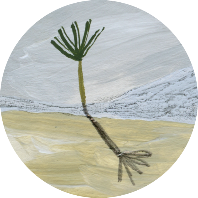 A child's drawing of a plant sprouting from the ground with a single green leaf at the top.