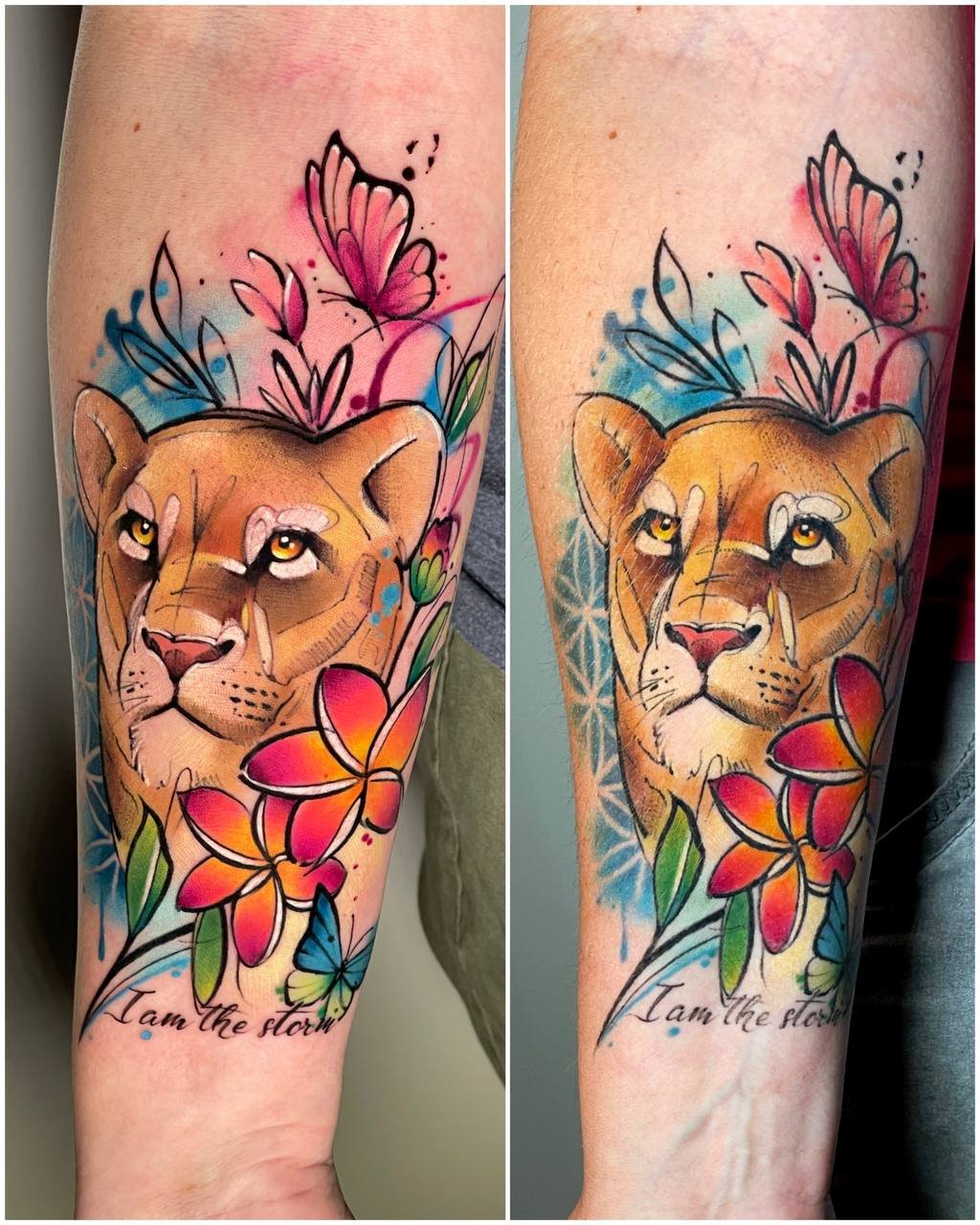 Vergleich eines Löwen-Tattoos direkt nach dem Stechen und nach der vollständigen Heilung. Tätowiert von Maya Marina in Frankfurt am Main.
