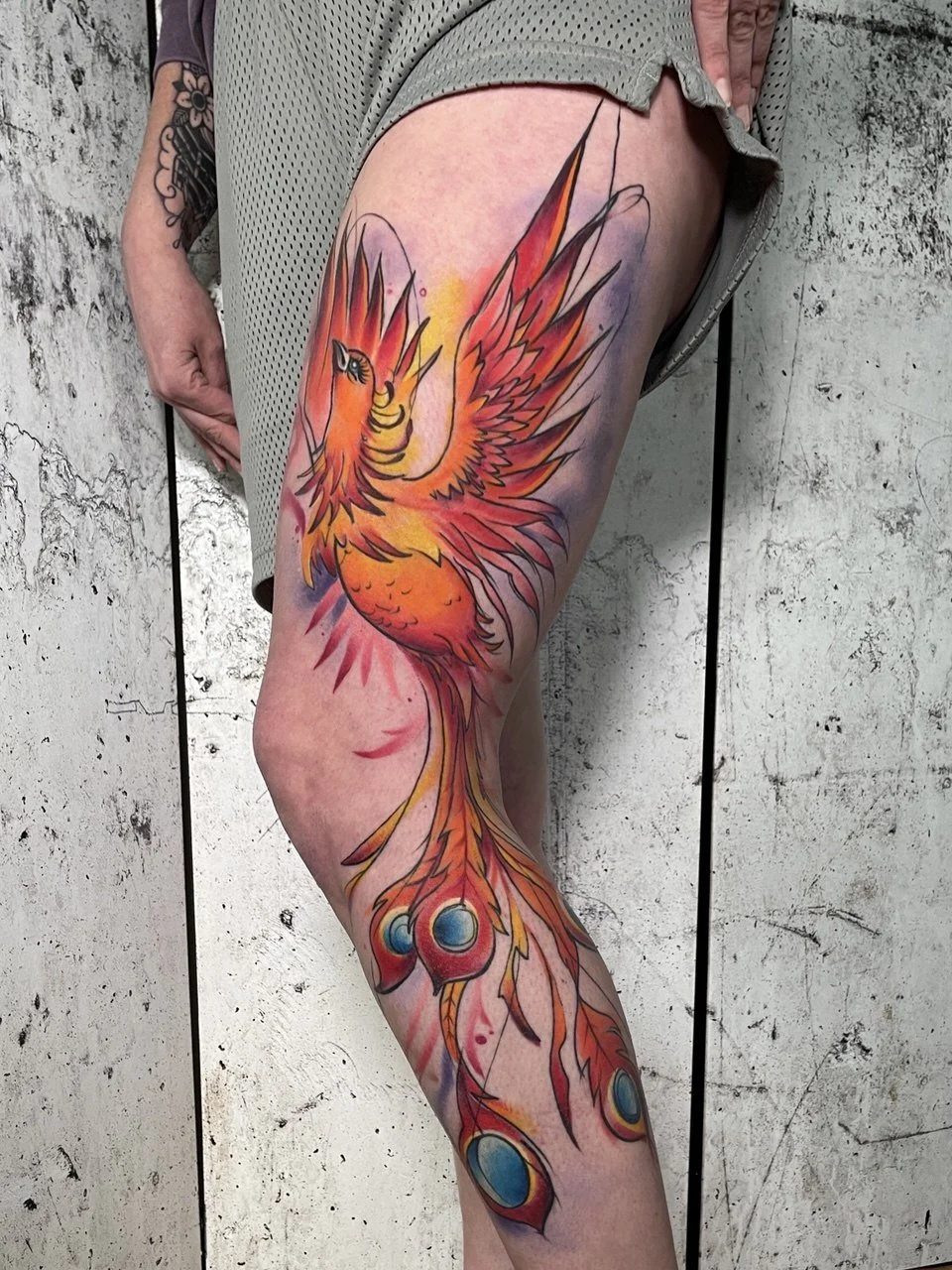 Großes farbiges Phönix-Tattoo mit dynamischen Linien im Sketch Style