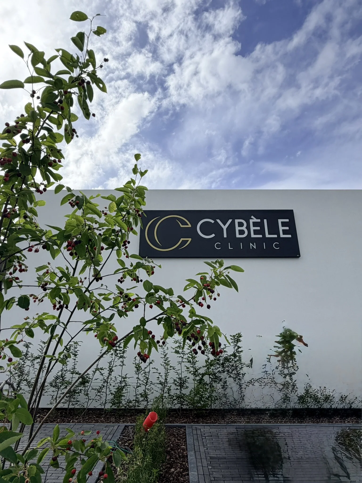 Vue d'une façade d'une clinique Cybèle avec des arbres et un ciel nuageux.