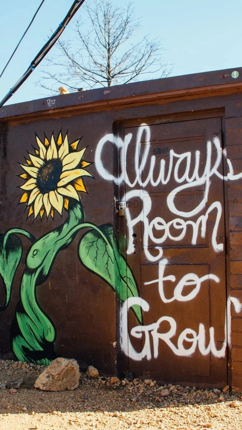 A mural of a sunflower with green leaves painted on a wooden wall. Next to it, white graffiti text reads 'always grow to grow'. A bare tree and blue sky are visible in the background.