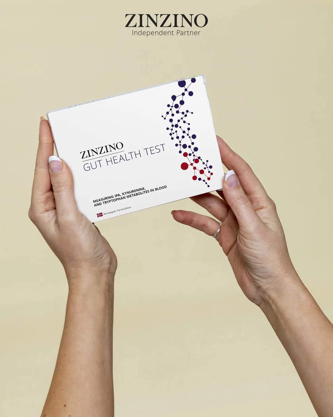 Zinzino gut health test