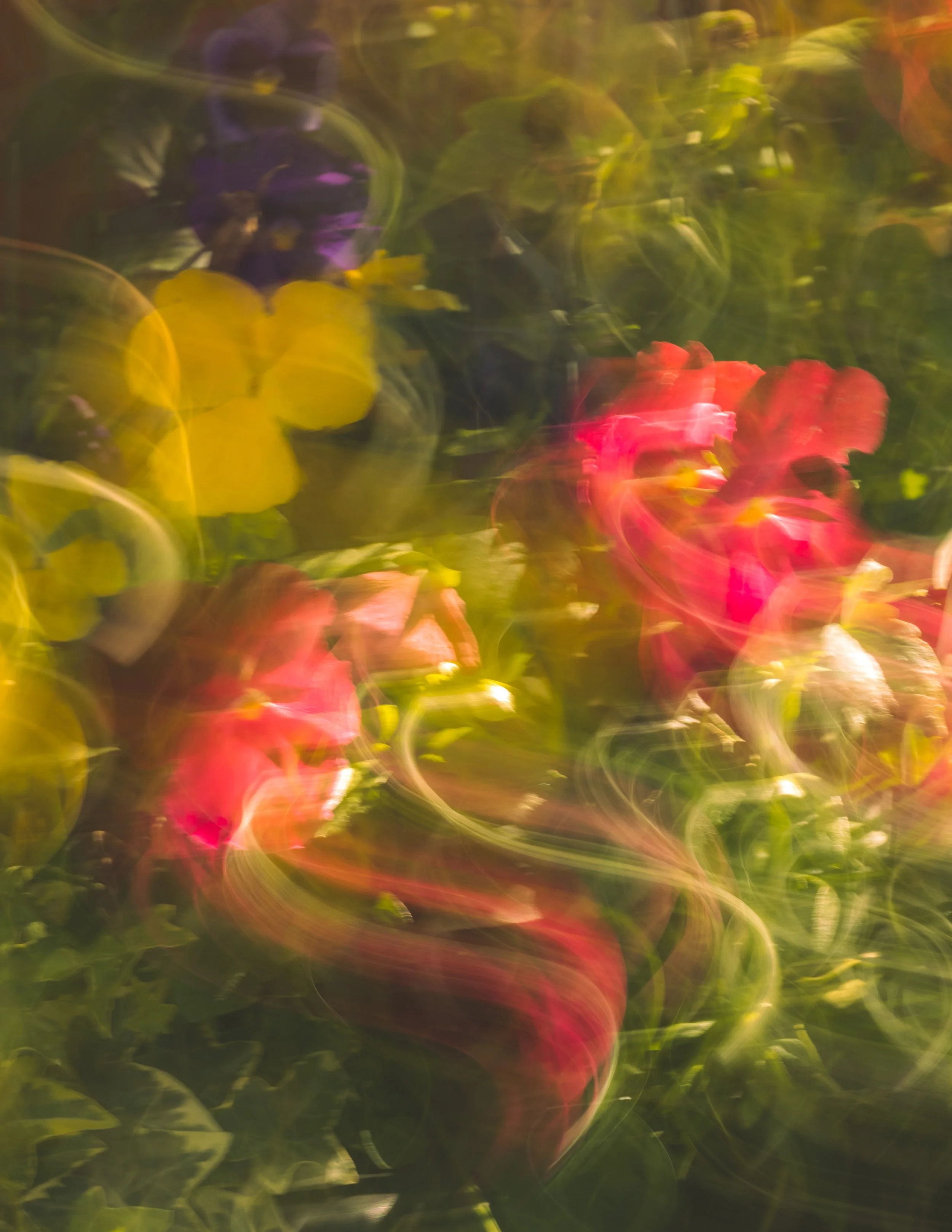 FloraVol1#2psd.jpg