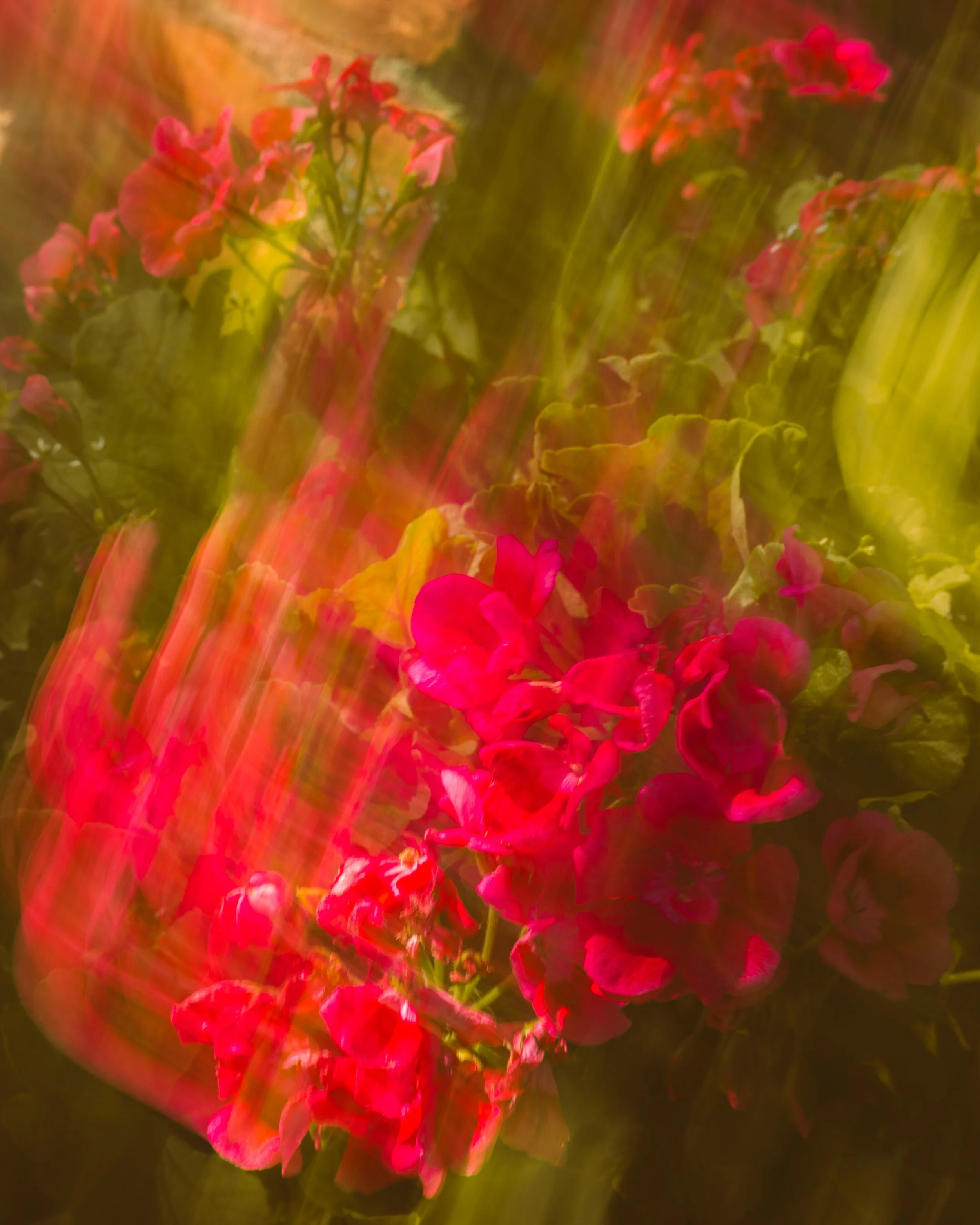 FloralVol4#1.jpg
