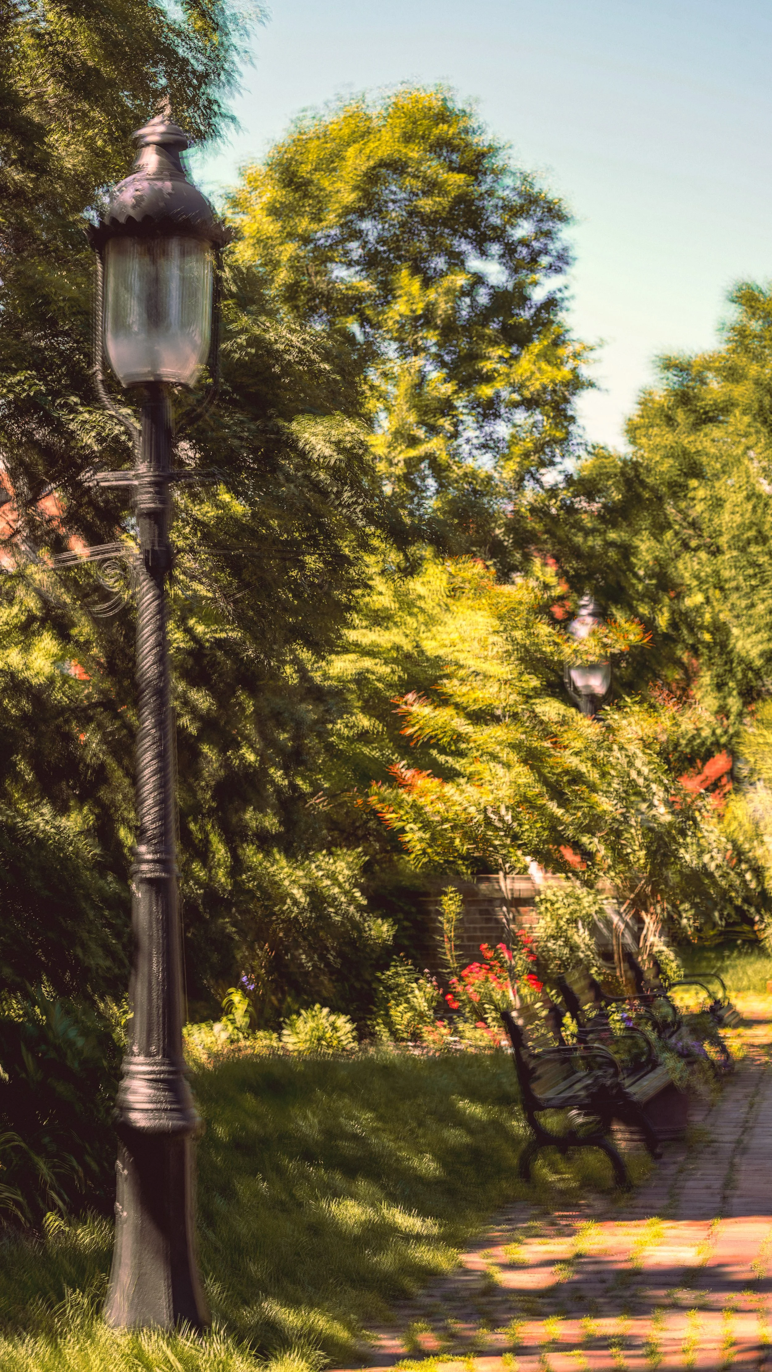 DSC_3956.jpg