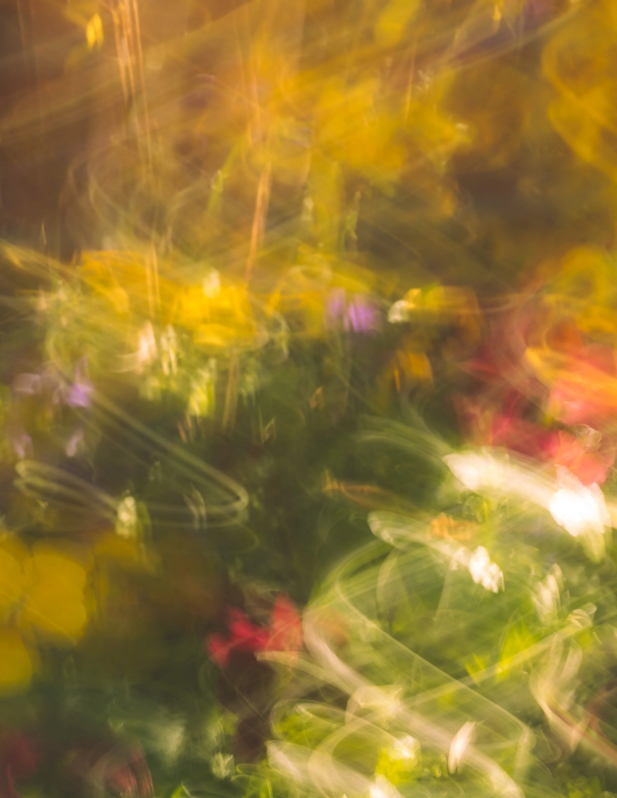 FloralVol1#1.jpg