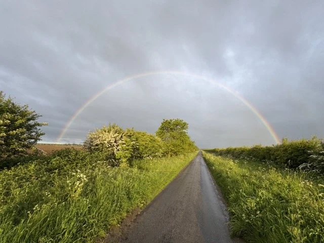 Rainbow Road