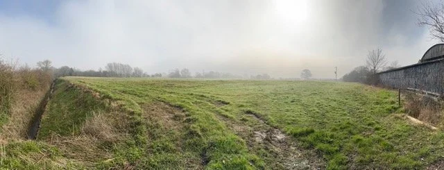 Meaux Abbey groundworks