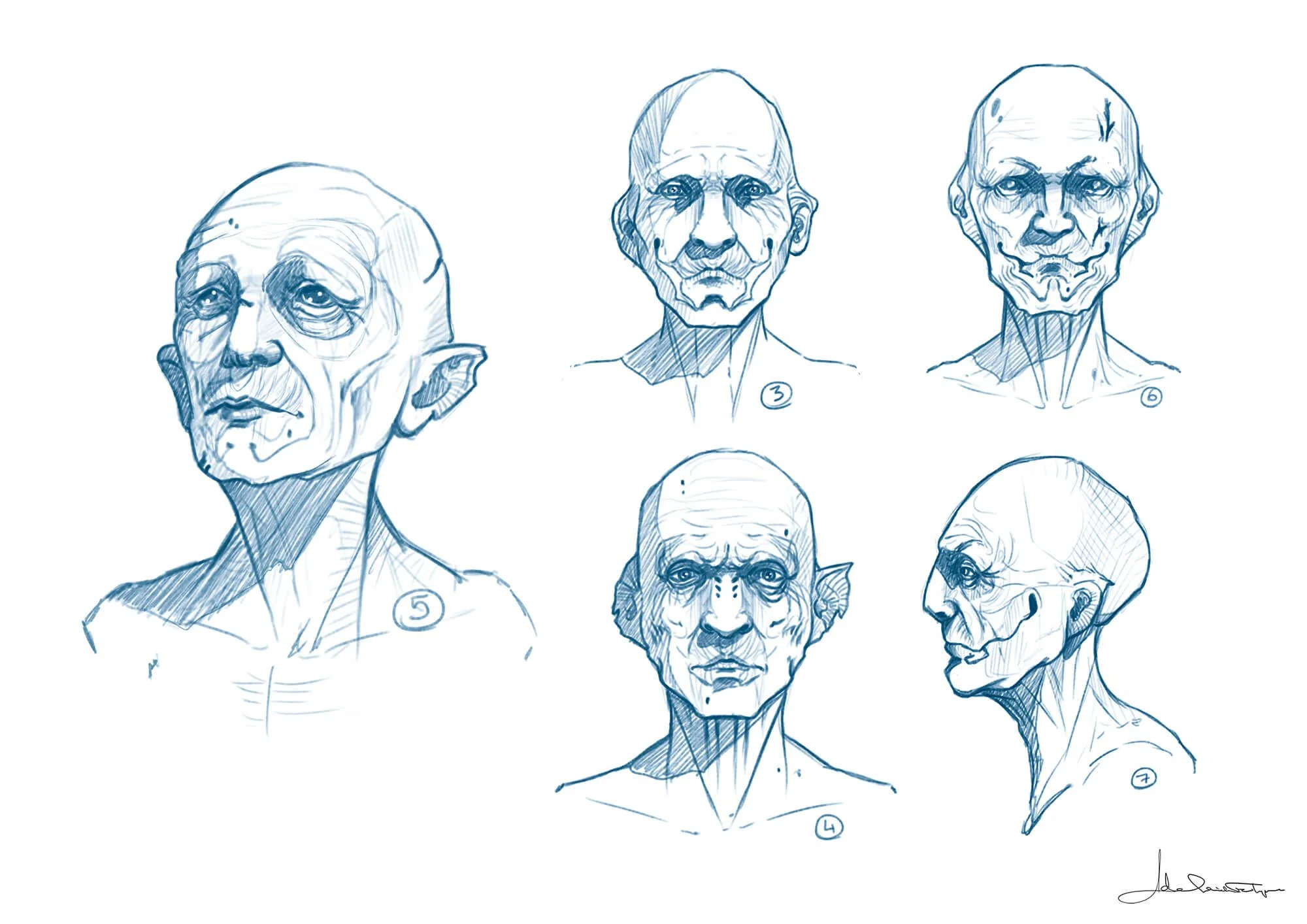 Creature concept art by Adelaide Filippe for Island of Lost Souls, showing Old Man Ray head morphology sketches with elderly human features, animal-inspired anatomy, pointed ears, and facial structure explorations.