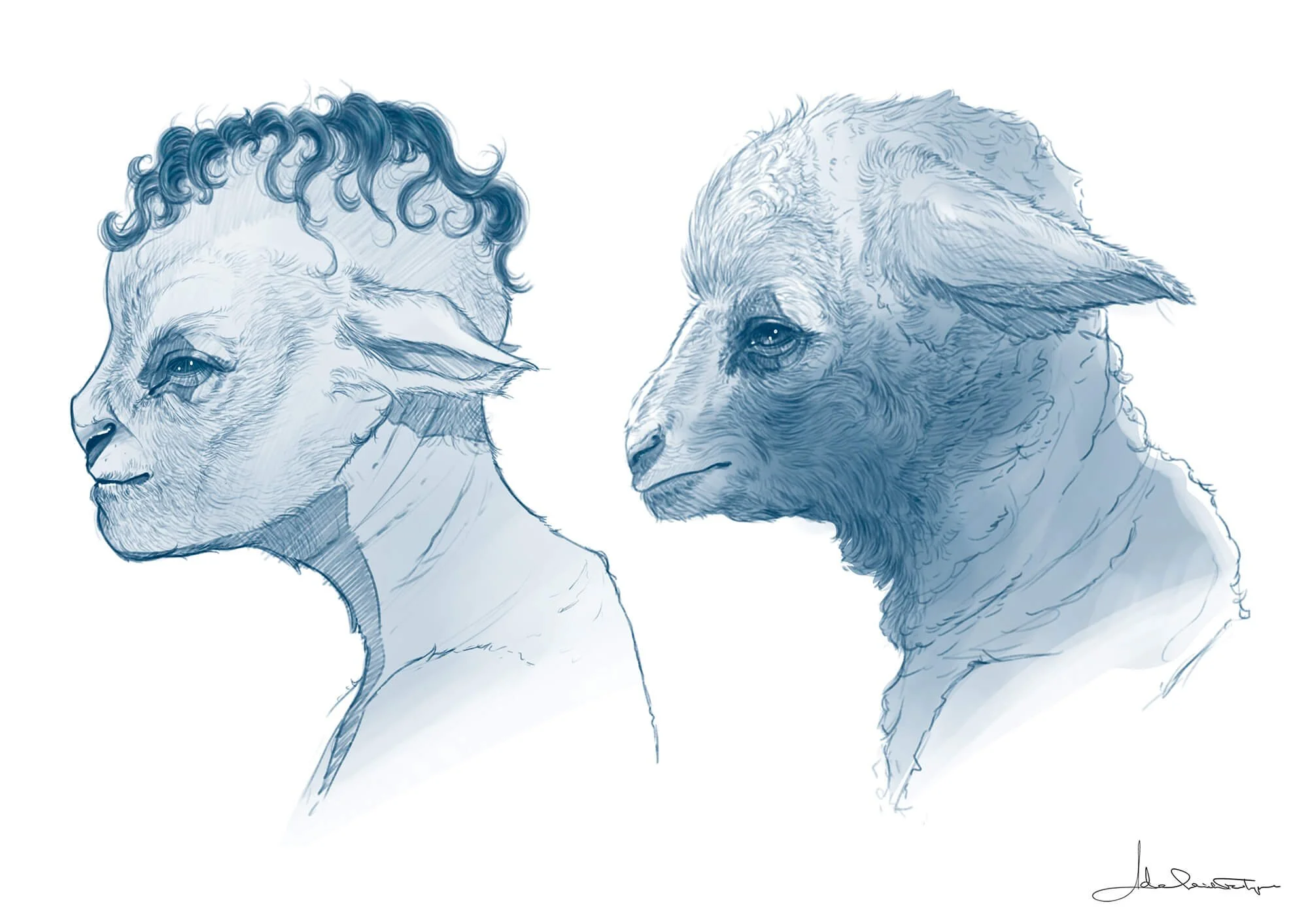 Creature concept art by Adelaide Filippe for Island of Lost Souls, showing Leanna’s human-to-lamb transformation through profile sketches comparing childlike facial anatomy with lamb features.