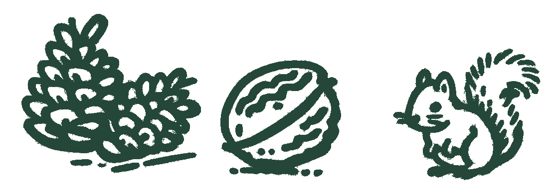 Illustration eines Eichhörnchens mit Tannenzapfen und Walnuss.