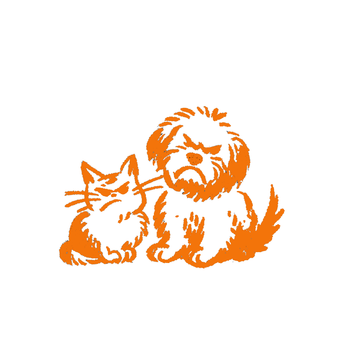 Katze und Hund als Gefahr für Eichhörnchen