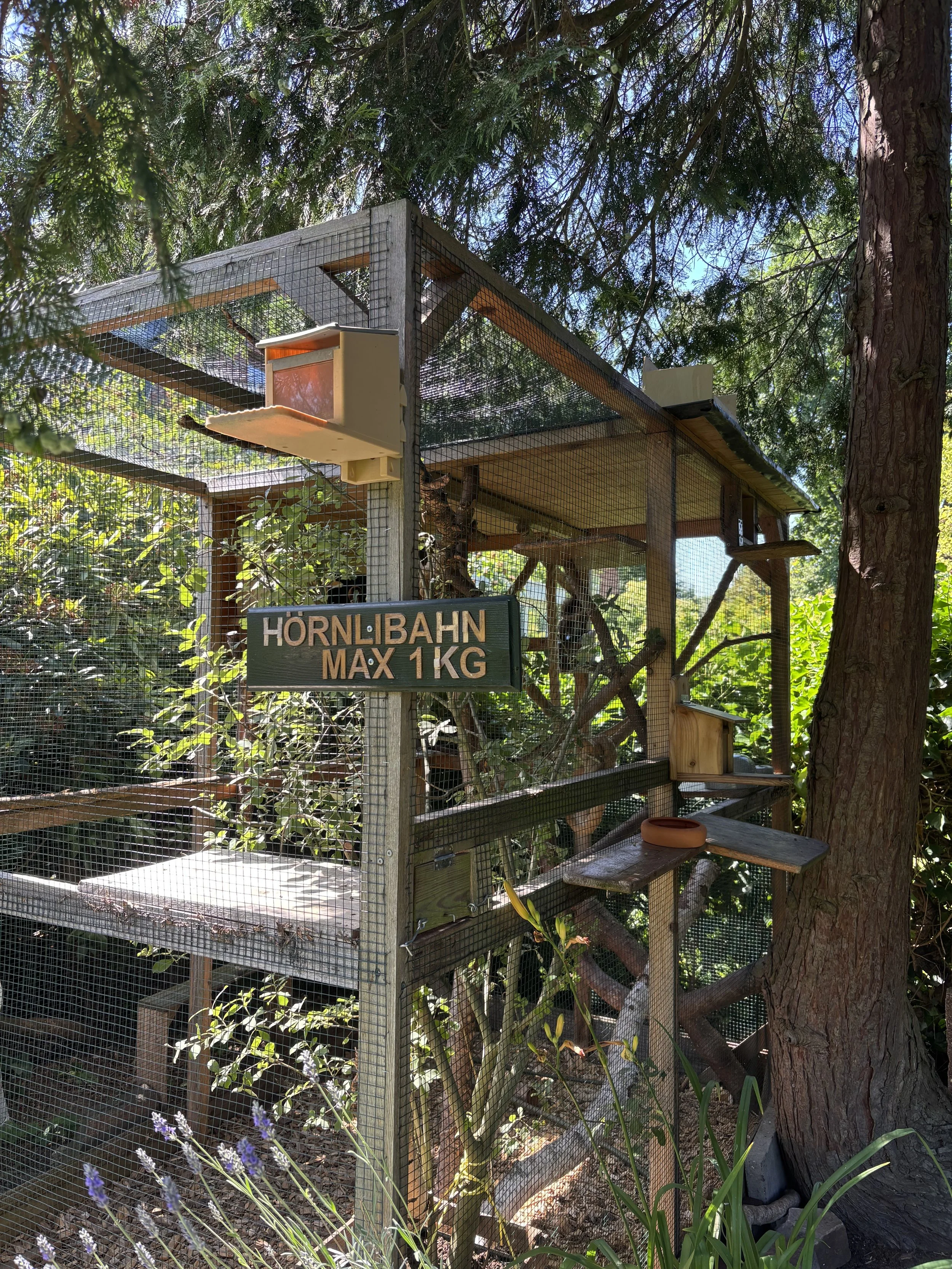 Eine Außenvoliere aus Holz gebaut in einem Garten.