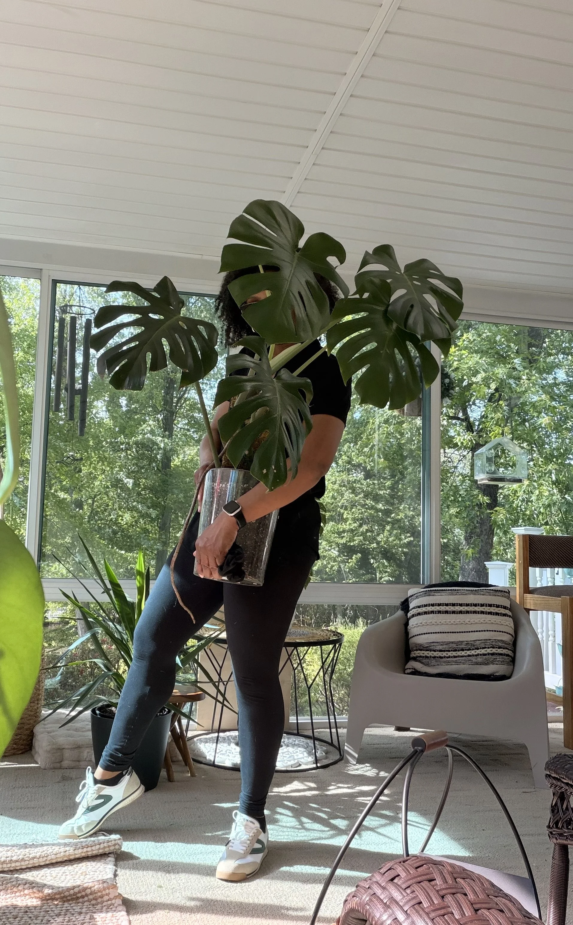 Recurring In-Home Plant Care