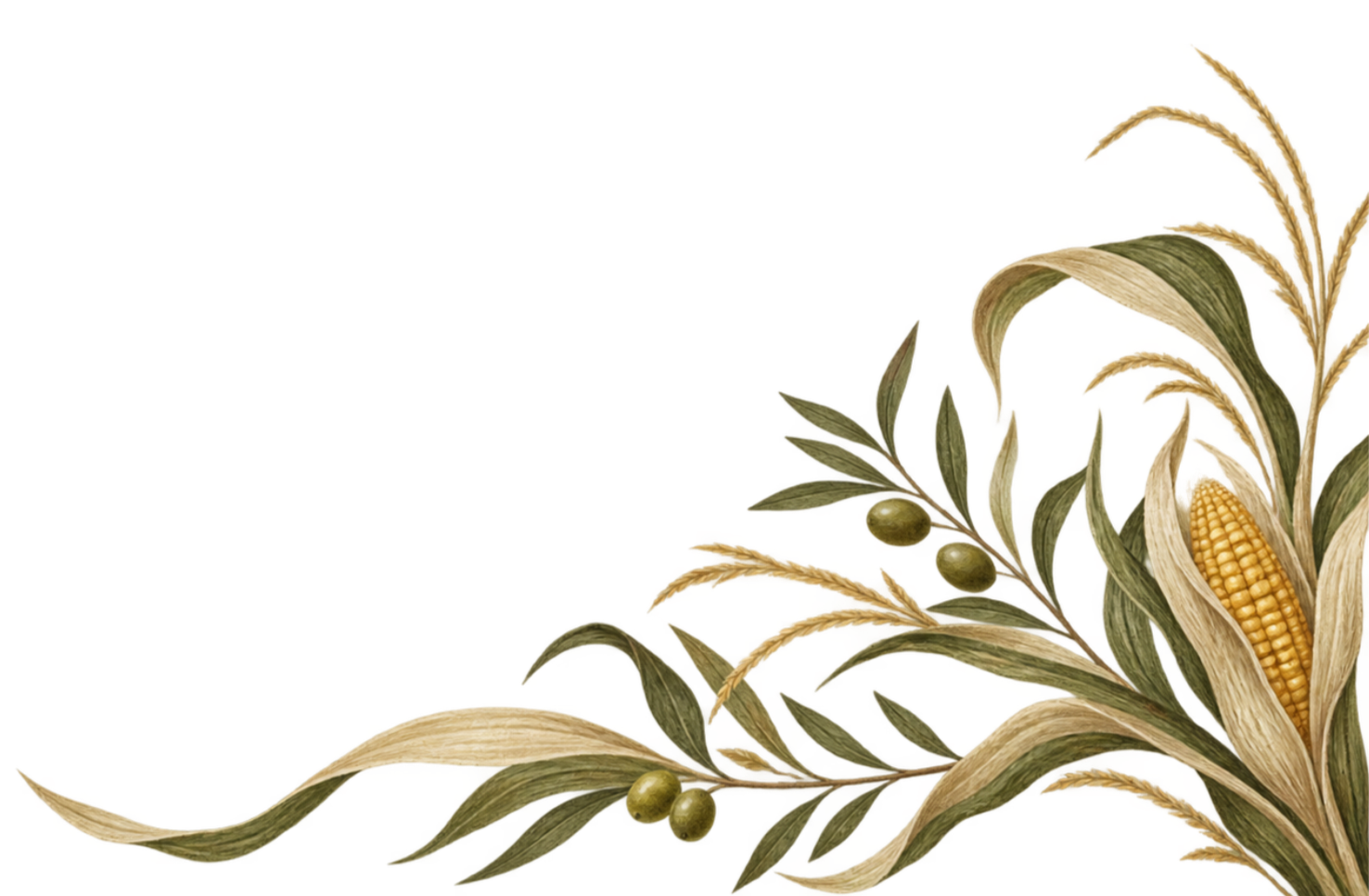 Decorative arrangement of dried corn, green olives, and olive branches with leaves.
