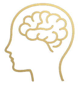 Line drawing of a human head in profile with a brain outlined inside