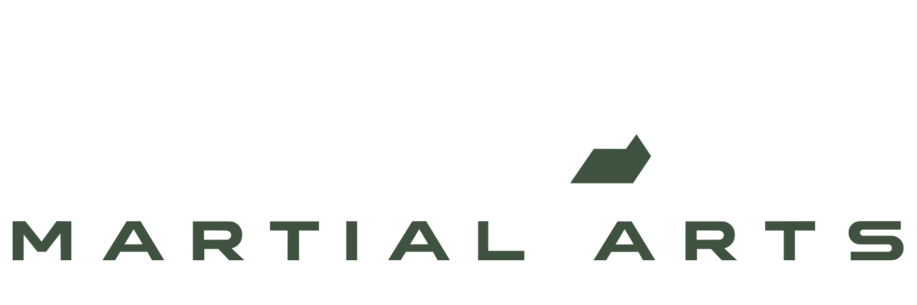 RIVAL Martial Arts logo in black, white, and green text.