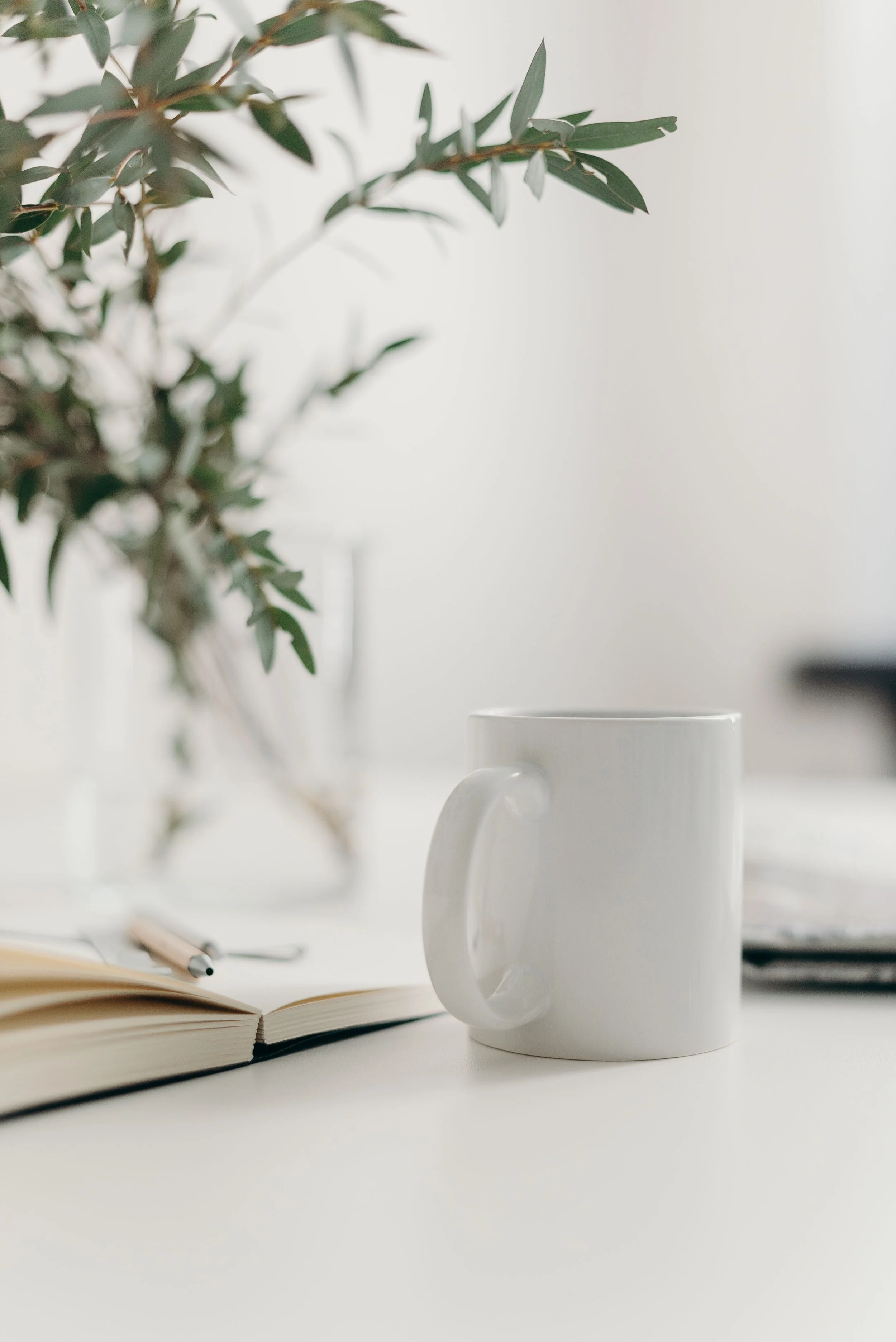 A white ceramic mug, an open notebook, a pen, a green leafy plant in the background, and a blurred white surface in a minimalistic workspace.