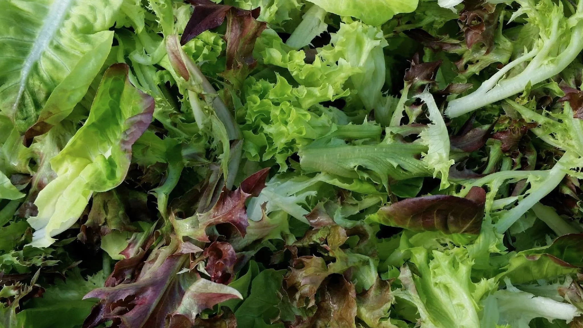 Salad mix
