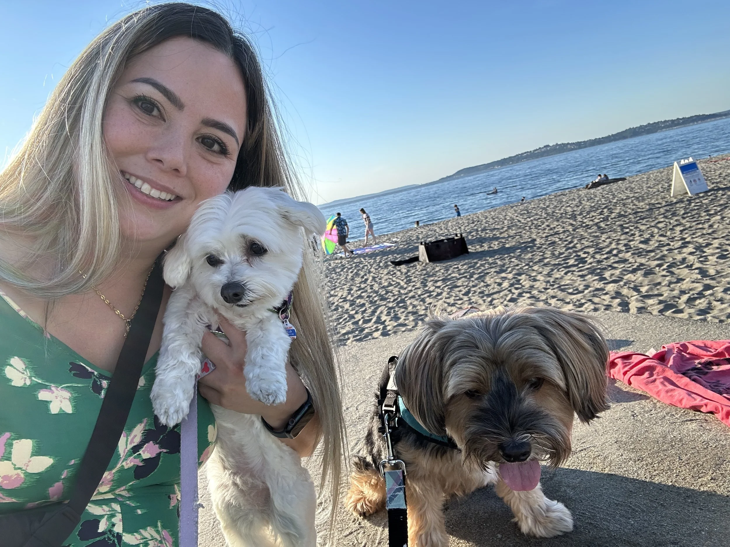 Dedicated pet care provider spending quality time with two dogs on a beautiful Alki Beach in West Seattle.