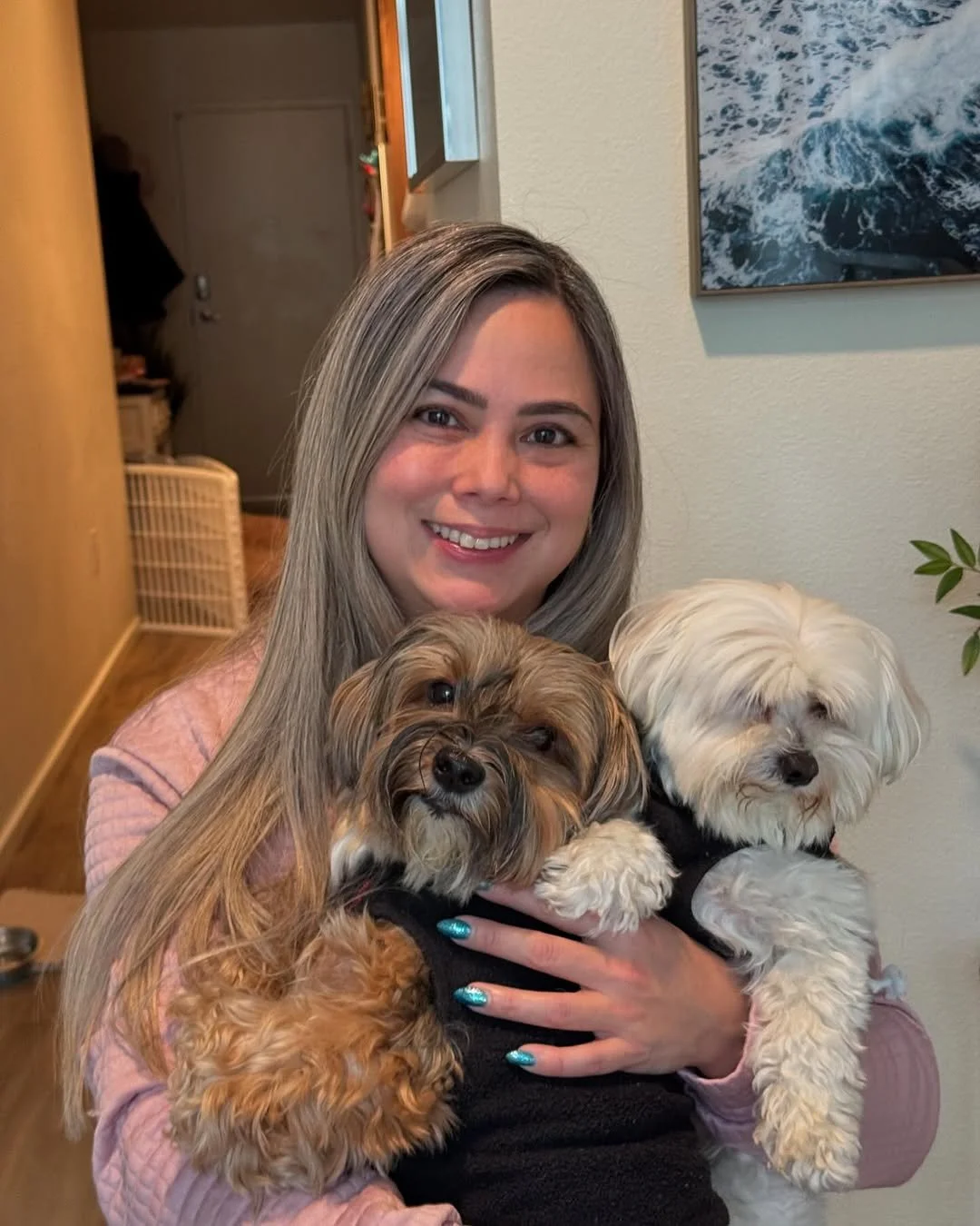 Premium pet services in West Seattle, WA including dog boarding, dog walking, dog daycare, and drop-in visits provided by a trusted local pet care professional.