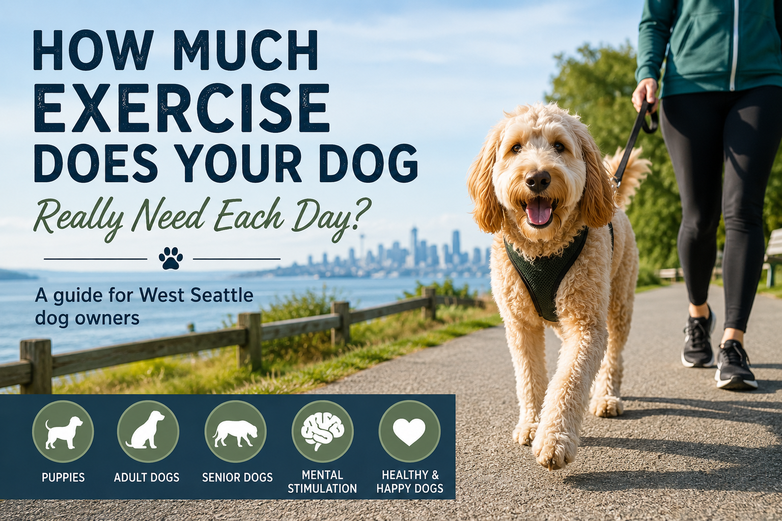 How Much Exercise Does Your Dog Really Need Each Day?