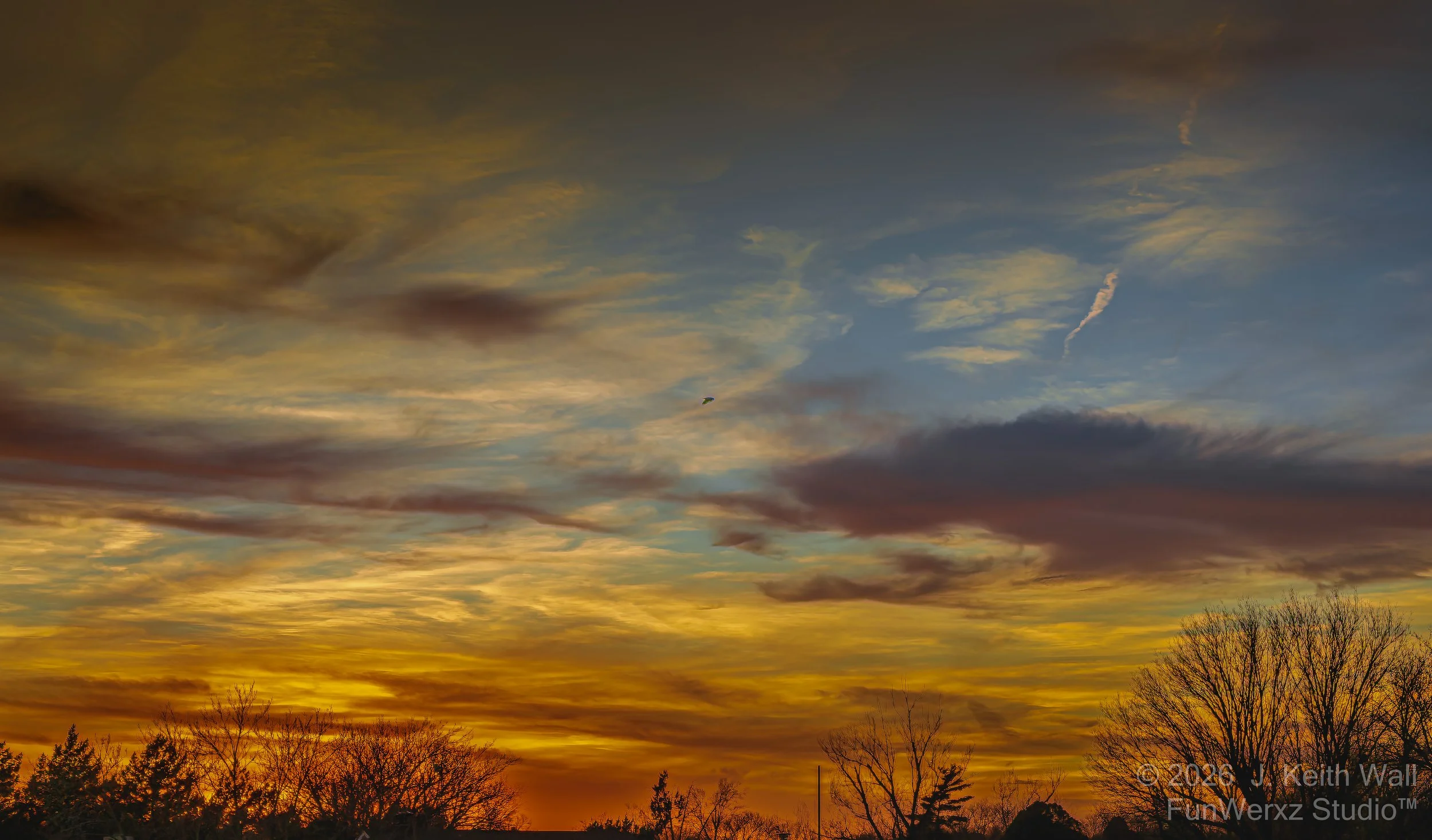 Free Bird Sunset   Clovis NM