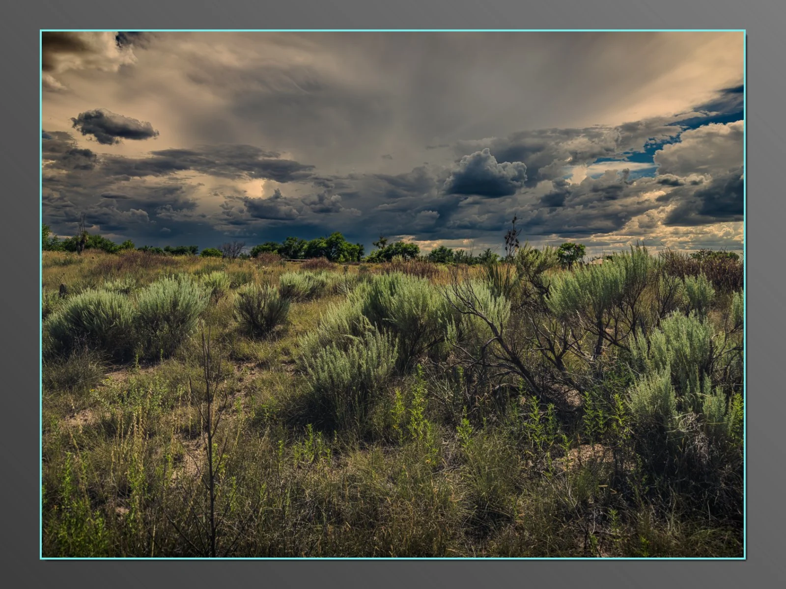 A landscape view of a grassy field with green bushes and sparse trees, under a cloudy sky with dark, dramatic clouds.