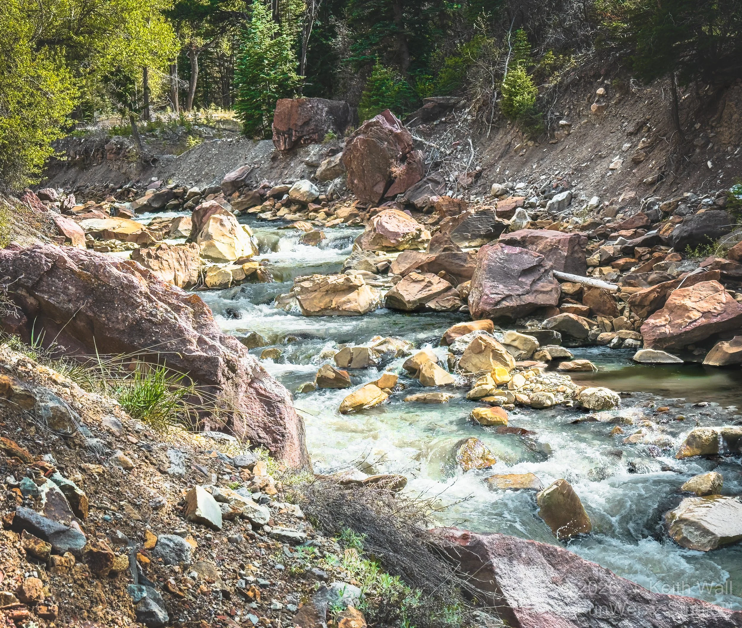 Uncompahgre River   Ouray CO