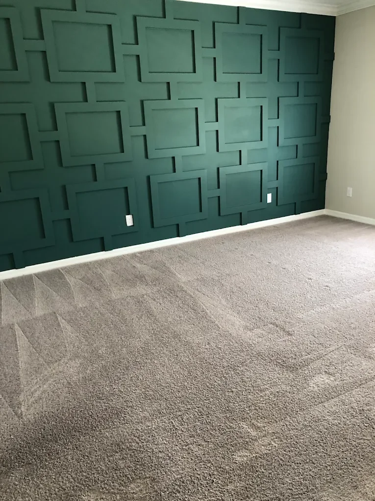 Discover the Difference Between Cleaning and Disinfecting a Carpet