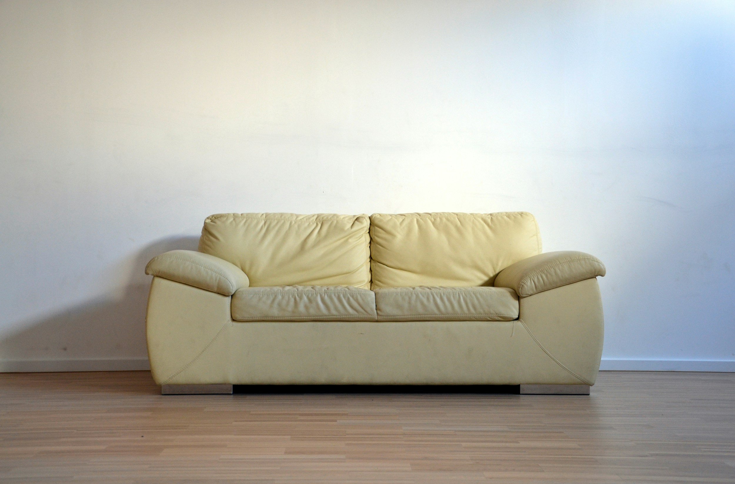 What's Hiding in a Dirty Couch?