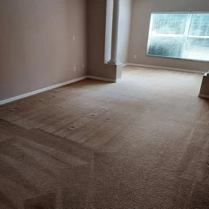 Empty living room with beige carpet and a large window