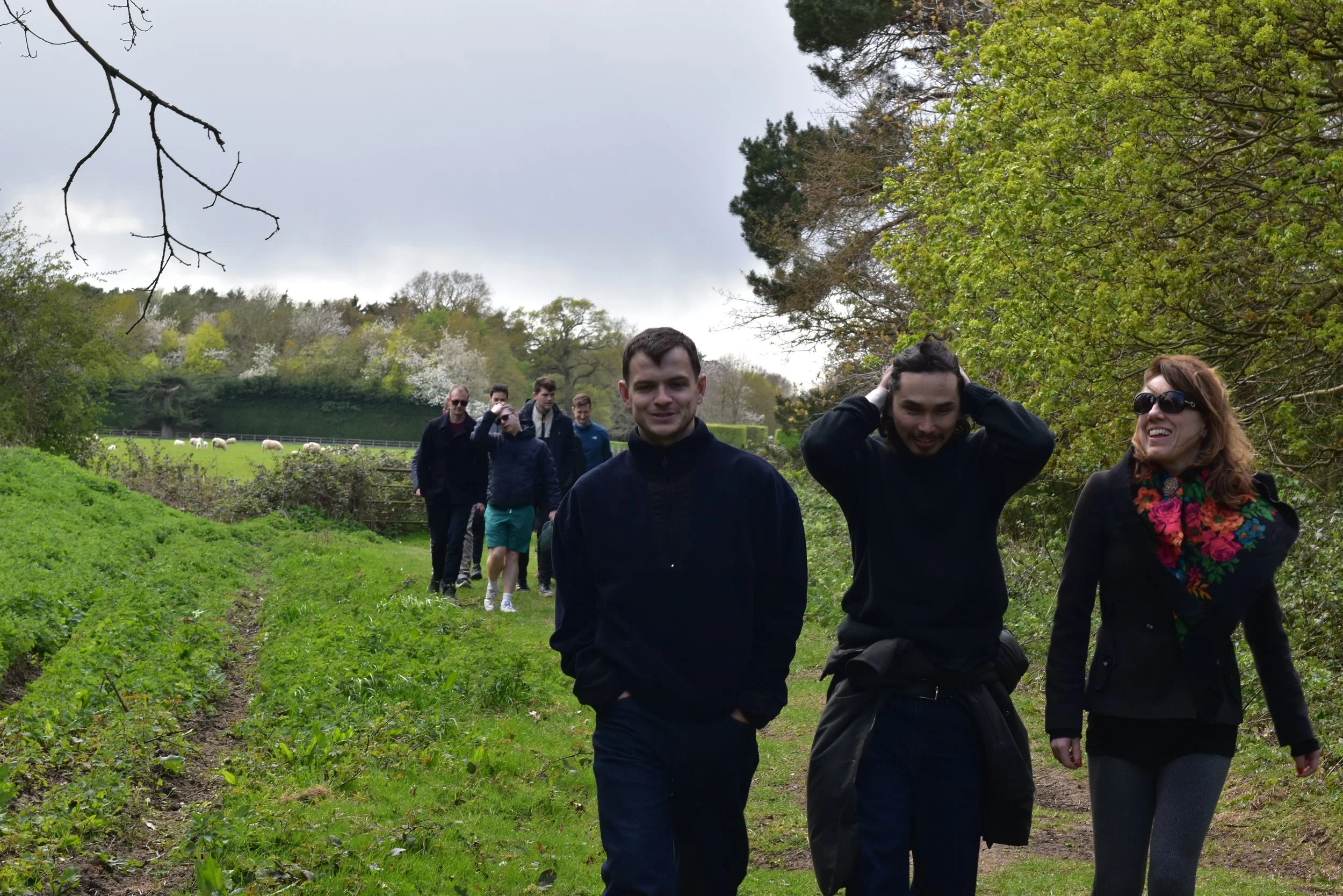 Group of seven people walking through grassy park with trees and sheep in the background, cloudy sky overhead.