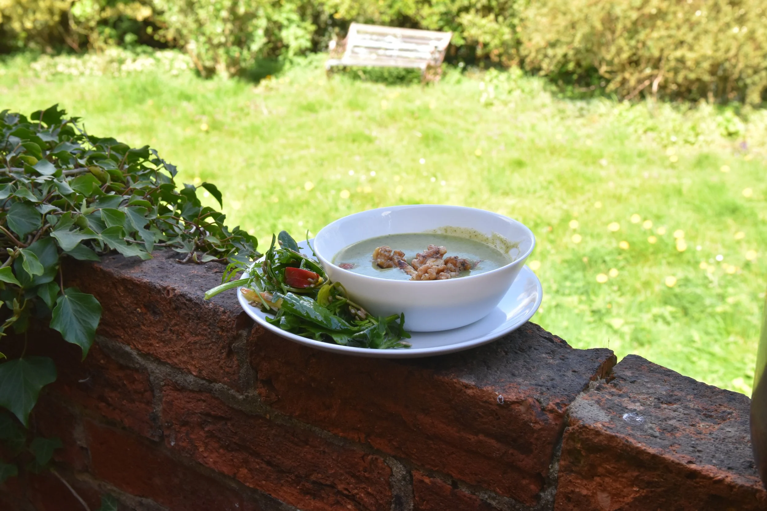 White bowl of green soup with toppings on a brick ledge outdoors with green grass and trees in the background.