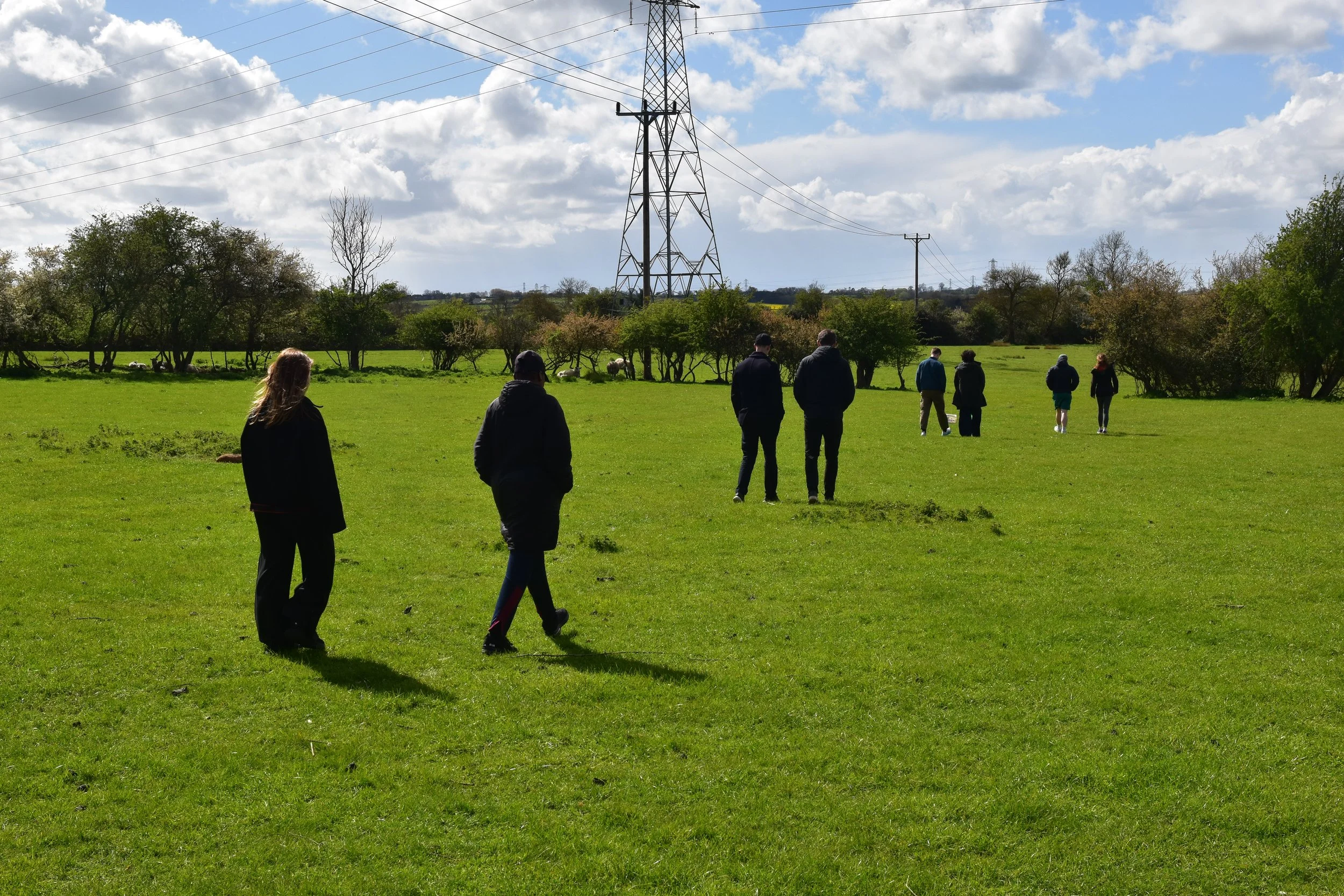 Group of people walking in a grassy field with trees and electrical towers in the background, partly cloudy sky.