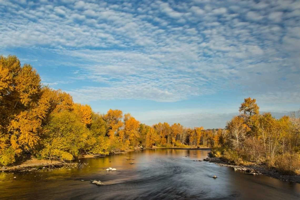 A river flowing through a landscape with trees in autumn colors and a partly cloudy sky.